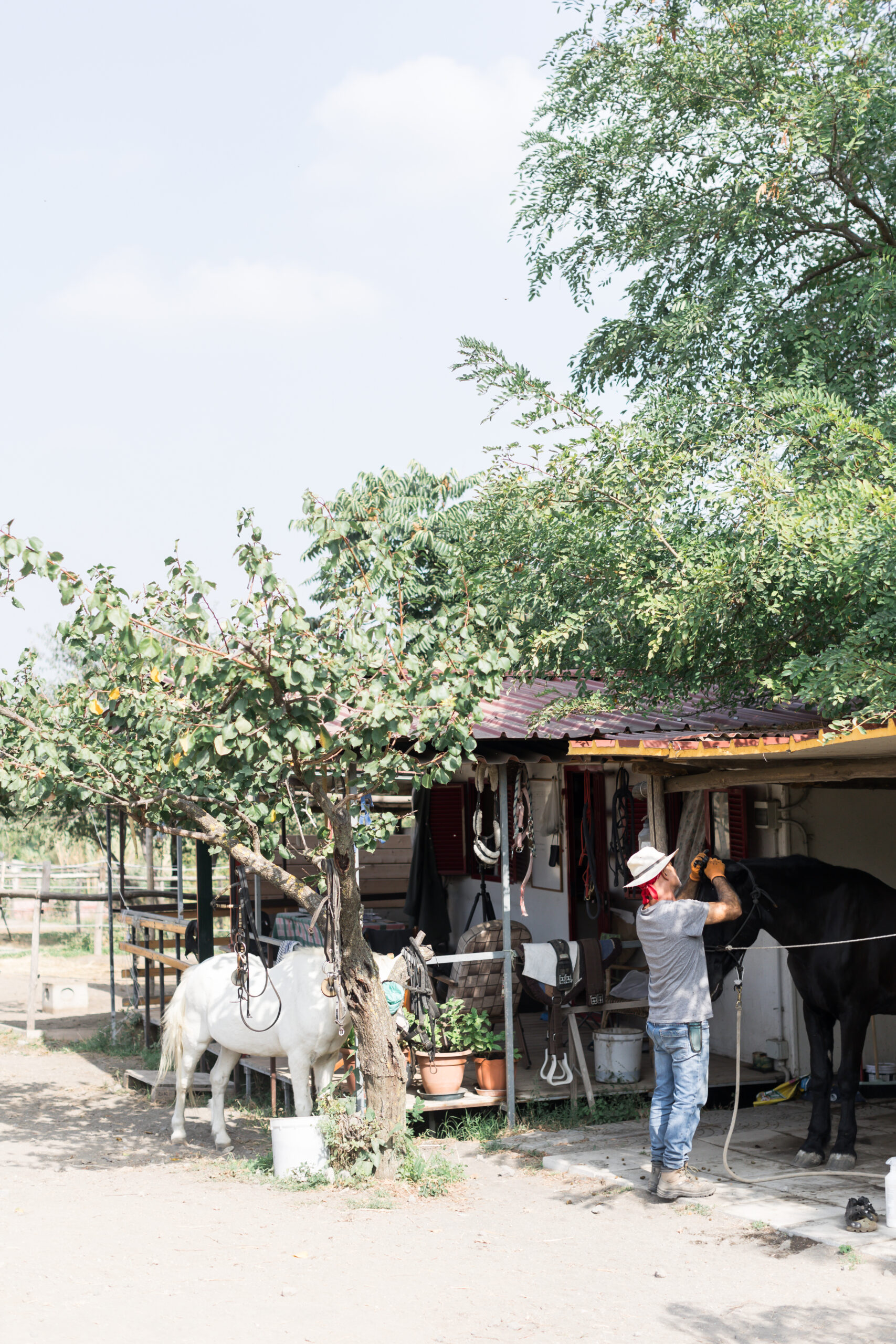 JessicaHoang-Napoli-CarloMilano-1